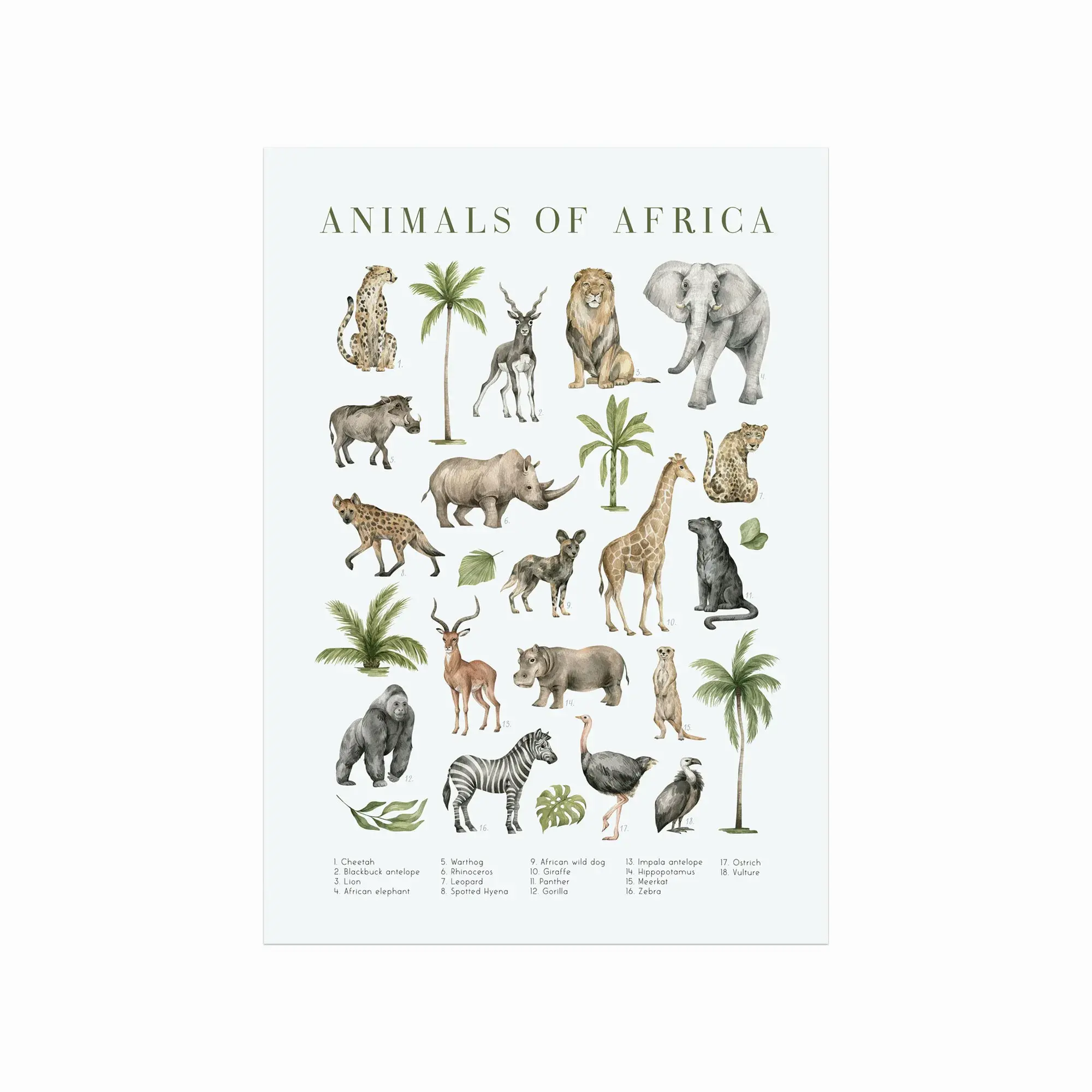 Animals of Africa plakat med illustrerede afrikanske dyr og engelske artsnavne